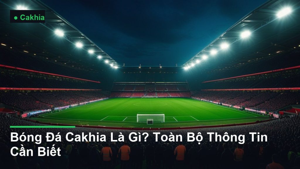 sân vận động bóng đá về đêm dưới ánh đèn pha - Bóng Đá Cakhia Là Gì? Toàn Bộ Thông Tin Cần Biết